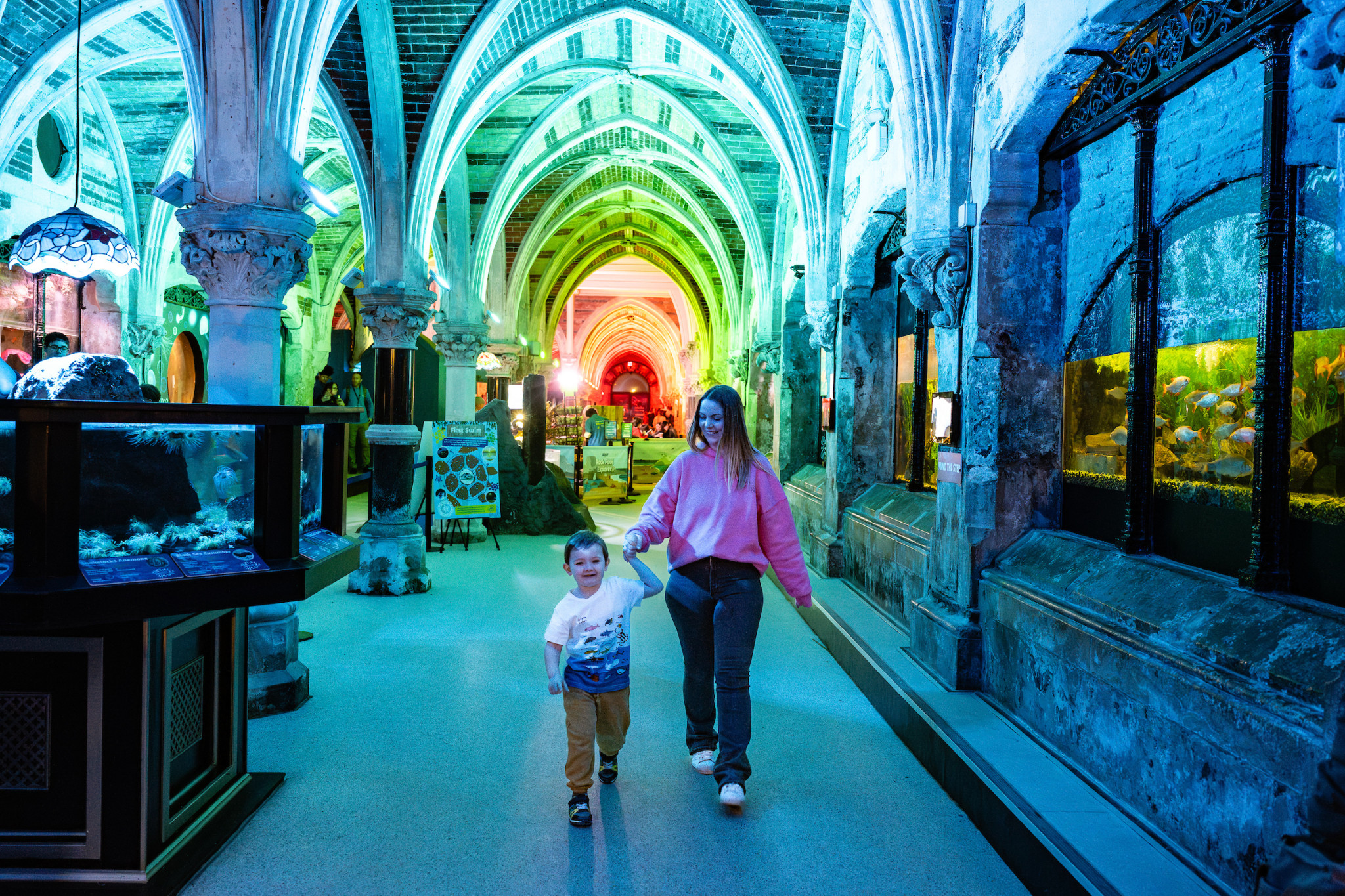 SEA LIFE Brighton Tickets - Photo 1 of 9